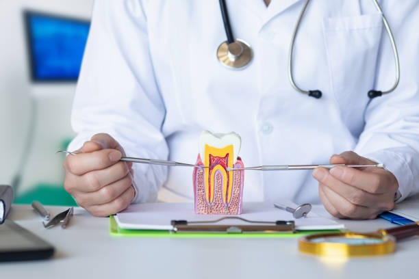 Best Emergency Dental Care for Broken or Chipped Teeth in Sands Point, NY